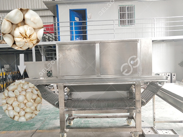大蒜去皮機(jī)-1.jpg